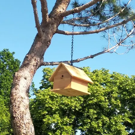 Le Vignal Holiday home