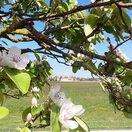 別荘 Le Vignal モンフランカン